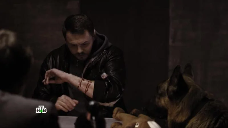 Кадры из сериала Пёс (2015)