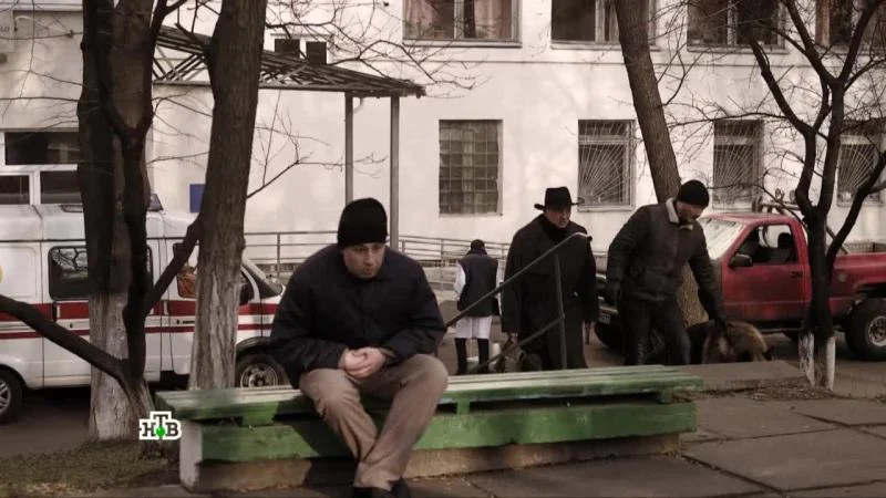 Кадры из сериала Пёс (2015)