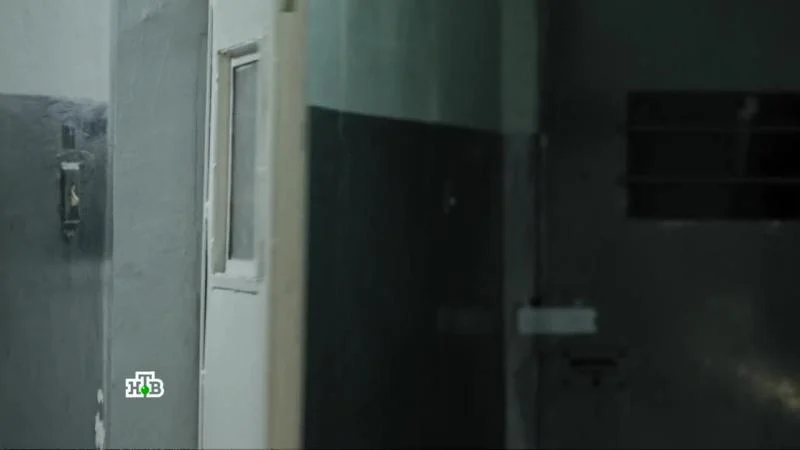 Кадры из сериала Пёс (2015)
