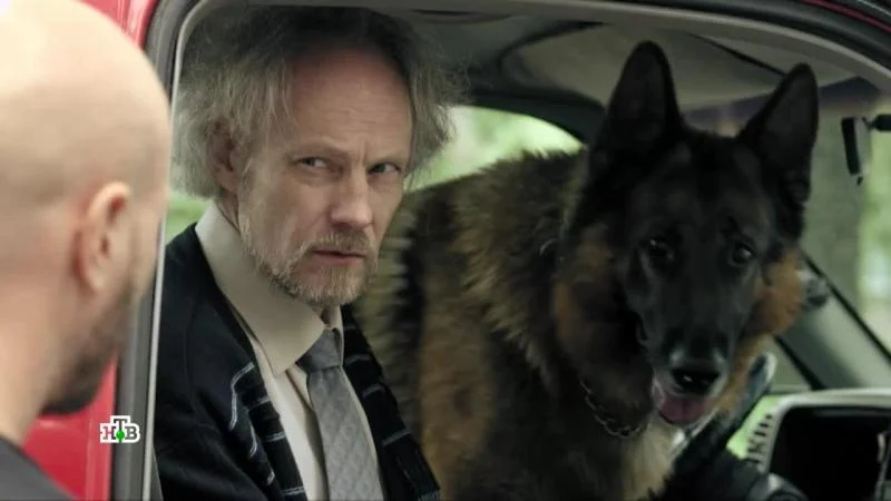 Кадры из сериала Пёс (2015)
