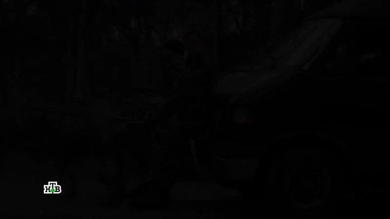 Кадры из сериала Пёс (2015)