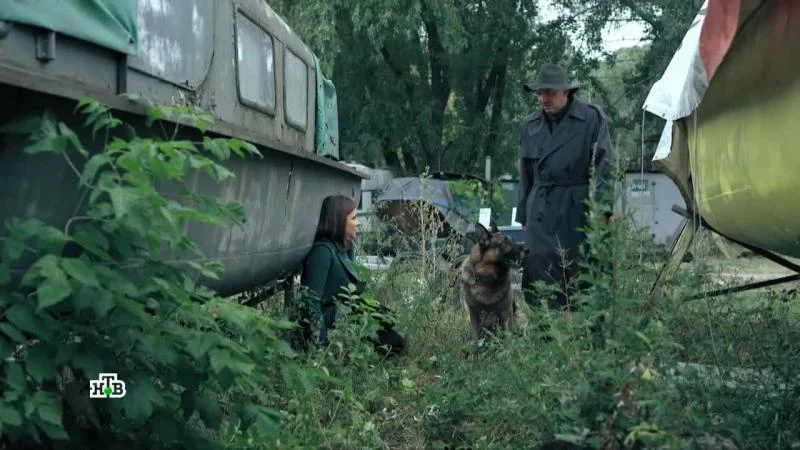 Кадры из сериала Пёс (2015)
